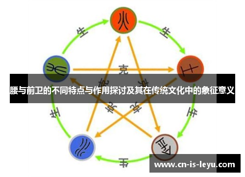 腰与前卫的不同特点与作用探讨及其在传统文化中的象征意义