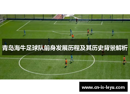 青岛海牛足球队前身发展历程及其历史背景解析