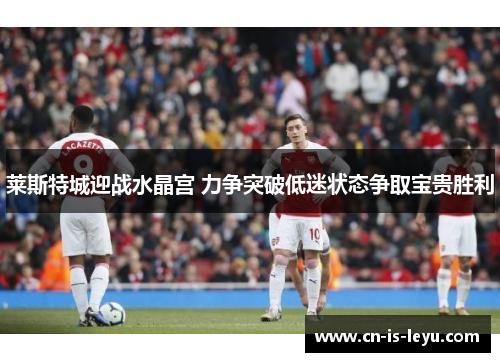 莱斯特城迎战水晶宫 力争突破低迷状态争取宝贵胜利