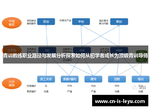 青训教练职业路径与发展分析探索如何从初学者成长为顶级青训导师