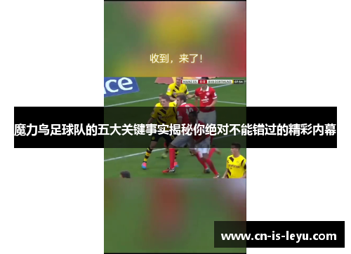 魔力鸟足球队的五大关键事实揭秘你绝对不能错过的精彩内幕