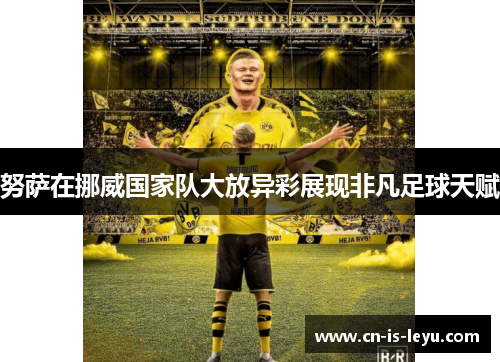 努萨在挪威国家队大放异彩展现非凡足球天赋