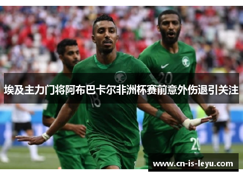 埃及主力门将阿布巴卡尔非洲杯赛前意外伤退引关注